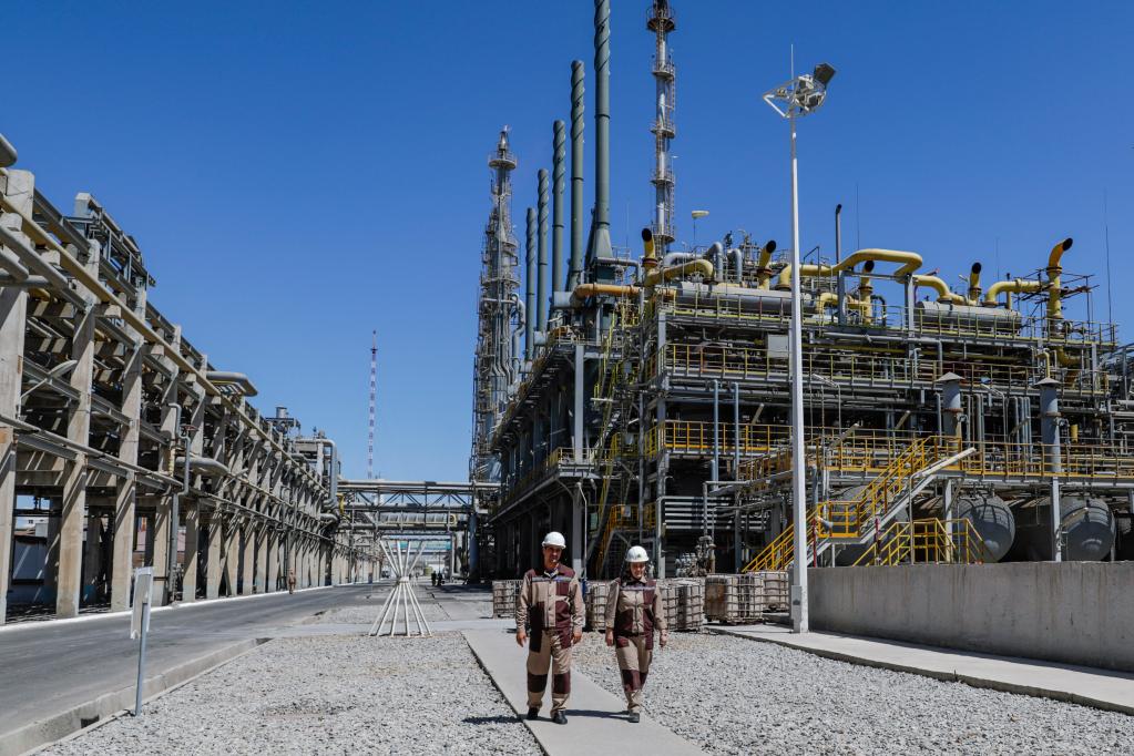 元首外交丨“中国的超级大市场就是我们的大海”(图3) 元首外交丨“中国的超级大市场就是我们的大海”(图3)