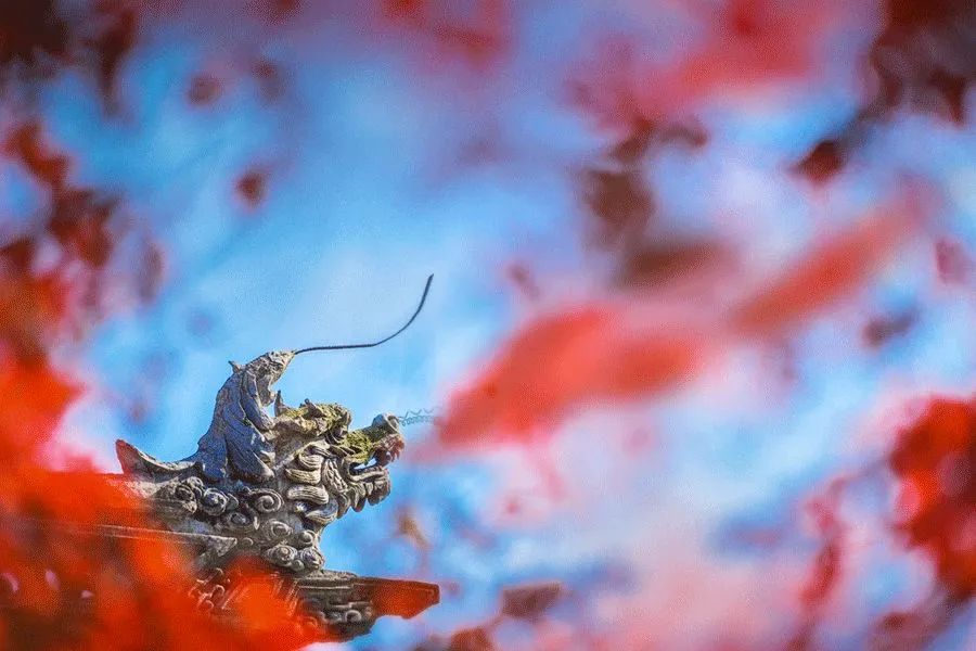 二月二,龙抬头,一年鸿运好兆头!(图2) 23.jpg