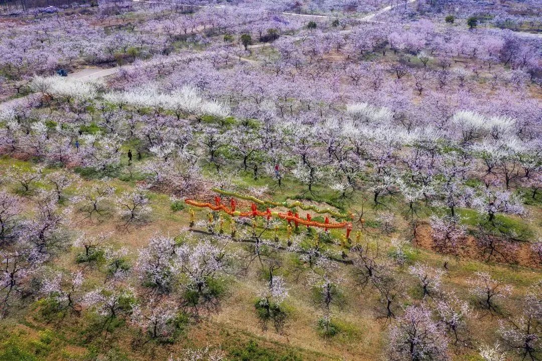 二月二,龙抬头,一年鸿运好兆头!(图3) 24.jpg