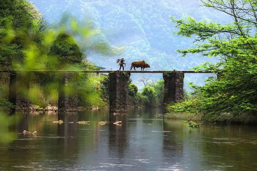 二月二,龙抬头,一年鸿运好兆头!(图5) 26.jpg