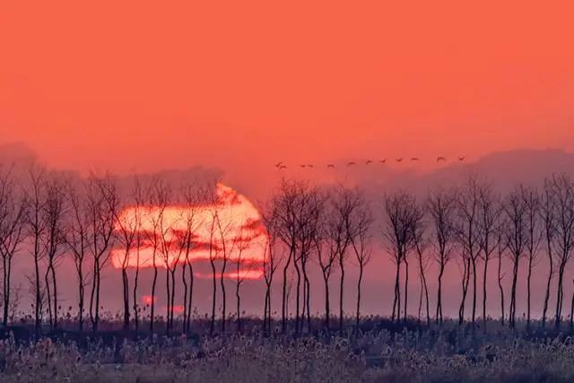 二月二,龙抬头,一年鸿运好兆头!(图17) 38.jpg