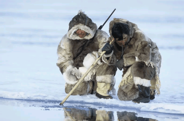 以妻待客、借妻子,极寒之地的爱斯基摩人没有伦理和道德感?(图2) 31.png