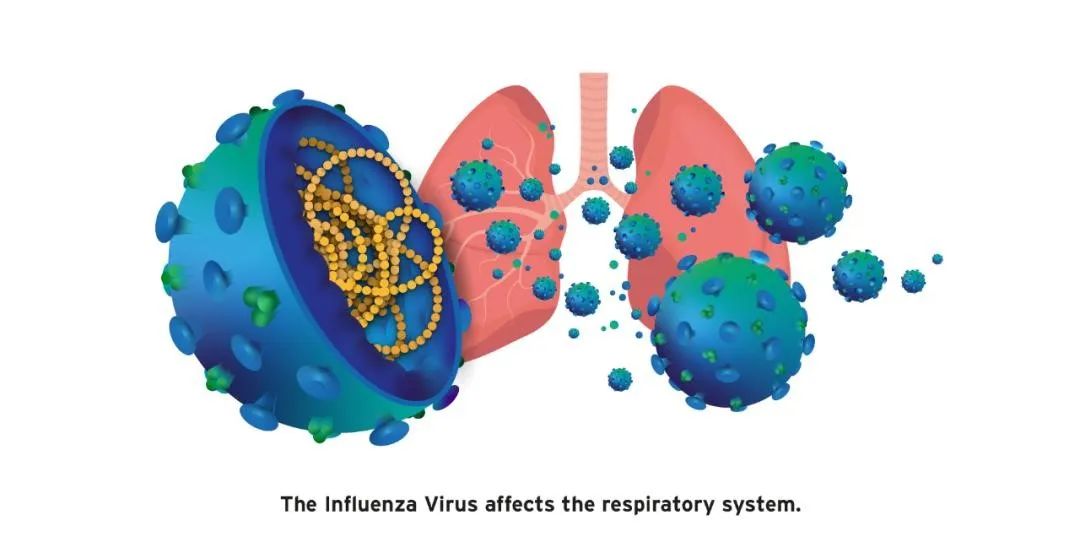 本轮流感高发与新冠有关?如何区别防治?家庭备药指南来了(图6) 32.jpg