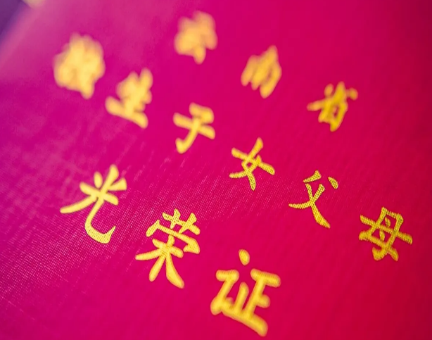 两会代表提议:独生家庭养老应由政府解决,符合国情也顺应民心(图2) 36.png