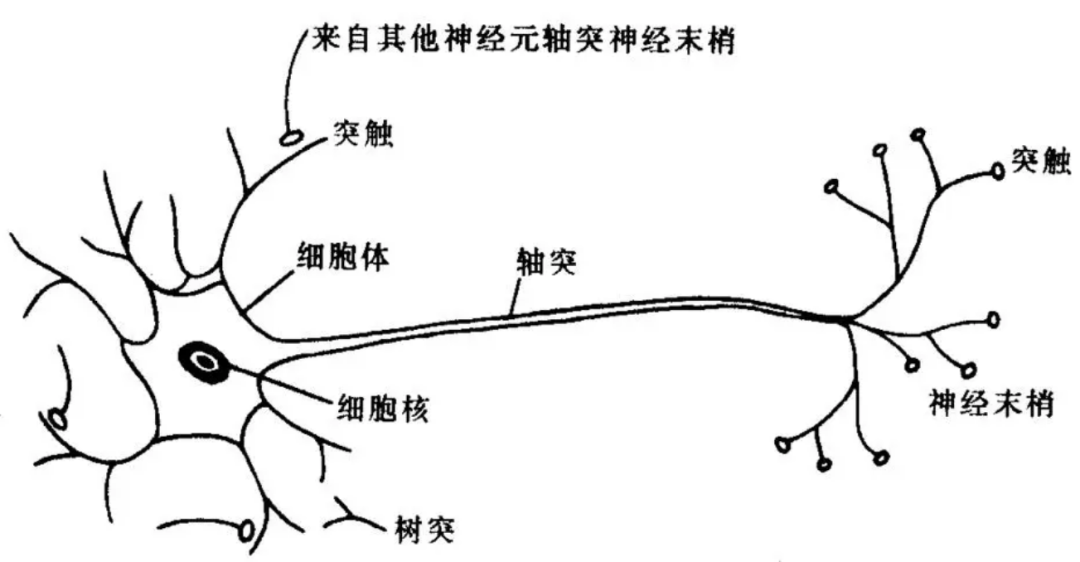 “宇宙墙”被发现,距离地球约150亿光年,会改写宇宙理论吗?(图2) 26.png