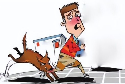 盗窃时被狗撕咬致死,狗主人愿赔偿四万被拒绝,家属索赔66万!法院判决:无责任,不用赔!(图1) 1.png