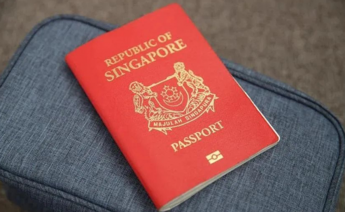 孩子同时持有新加坡和中国护照,回国如何顺利出入境?网友分享超全攻略~(图2) 56.png
