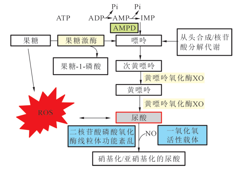 警惕!这些饮料,也会引发痛风!快看看你是不是每天都在喝?(图3) 4.png