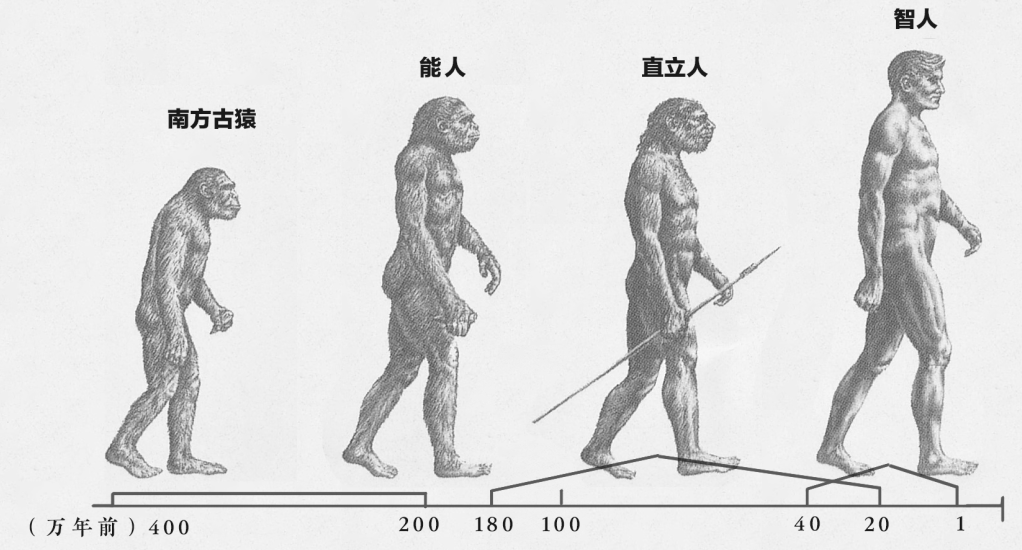 黄种人、黑种人和白种人能自由交配的原因是什么,没生殖隔离吗?(图5) 6.png