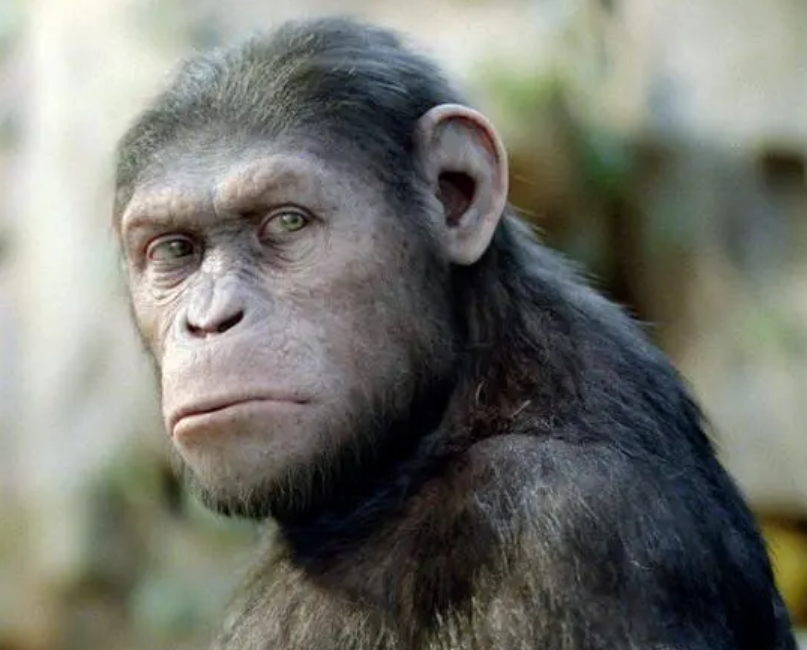 黄种人、黑种人和白种人能自由交配的原因是什么,没生殖隔离吗?(图11) 12.png