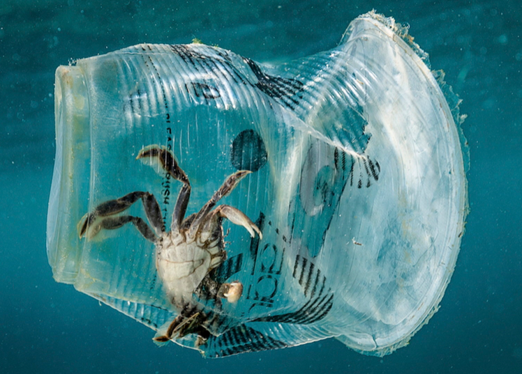 下潜1万多米的海底,科学家发现了不该发现的东西,是什么?(图12) 32.png