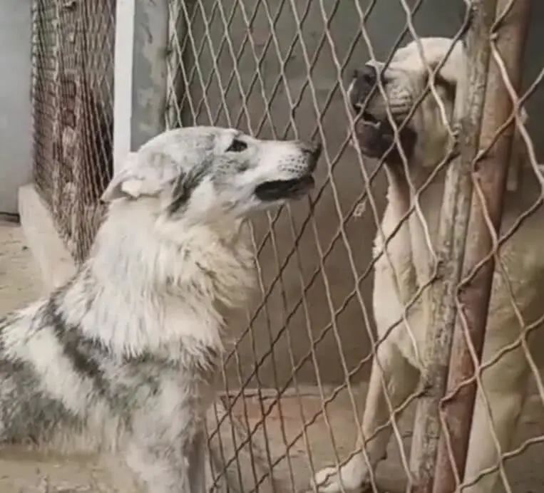 2023年最狠的十个段子! (太精辟了)(图4) 5.png