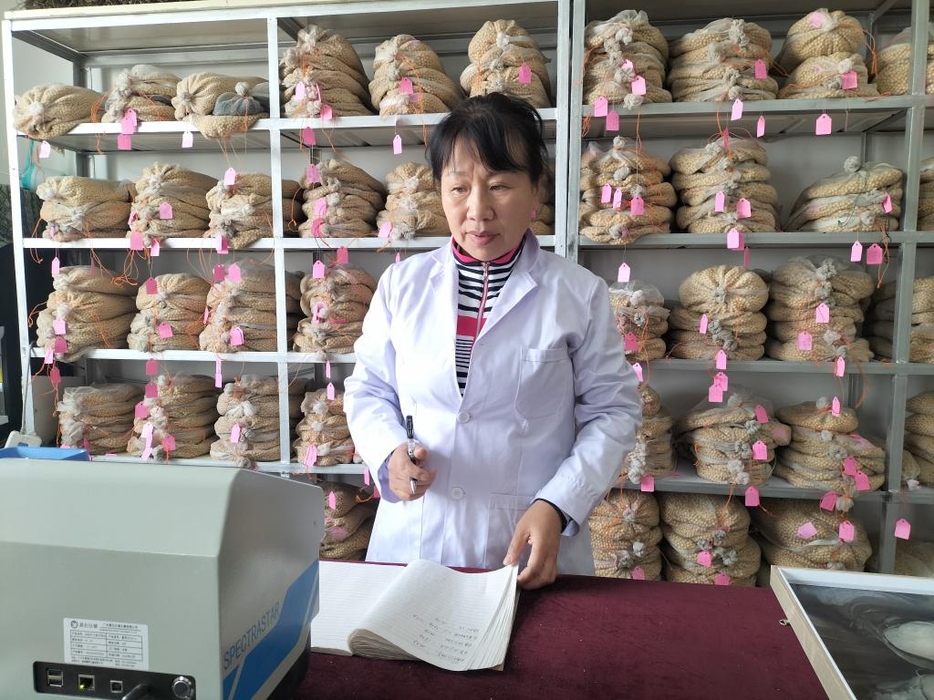 新时代新征程新伟业·全国两会精神看落实|黑龙江:为“中国饭碗”备好更多优质粮(图2) 新时代新征程新伟业·全国两会精神看落实|黑龙江:为“中国饭碗”备好更多优质粮(图2)