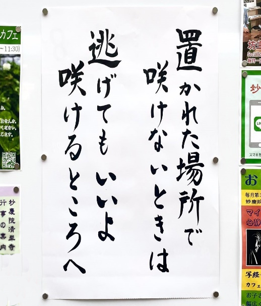 寺庙被挤爆,是时候重新审视「佛系营销」(图9) 44.png