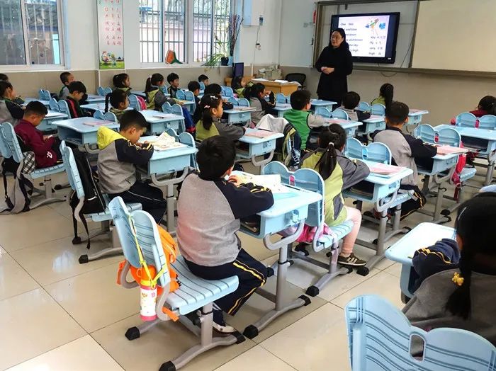 10年下降35%!不少小学3年后或面临关停?(图1) 24.jpg