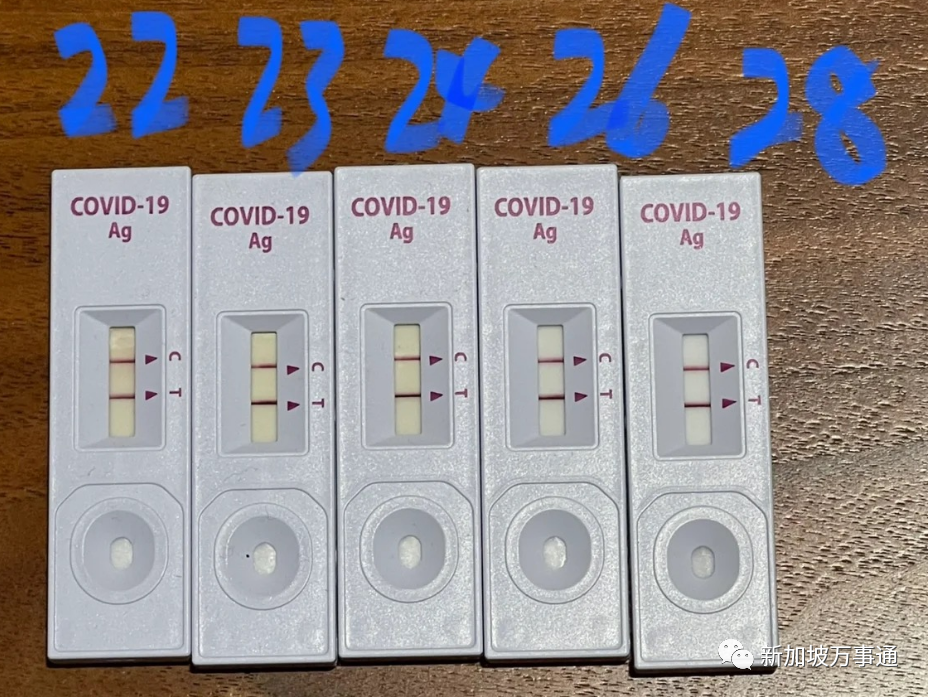 新冠+流感+骨痛热!3大病毒“围攻”新加坡,诊所大排长龙,已有学校停课!(图20) 44.png