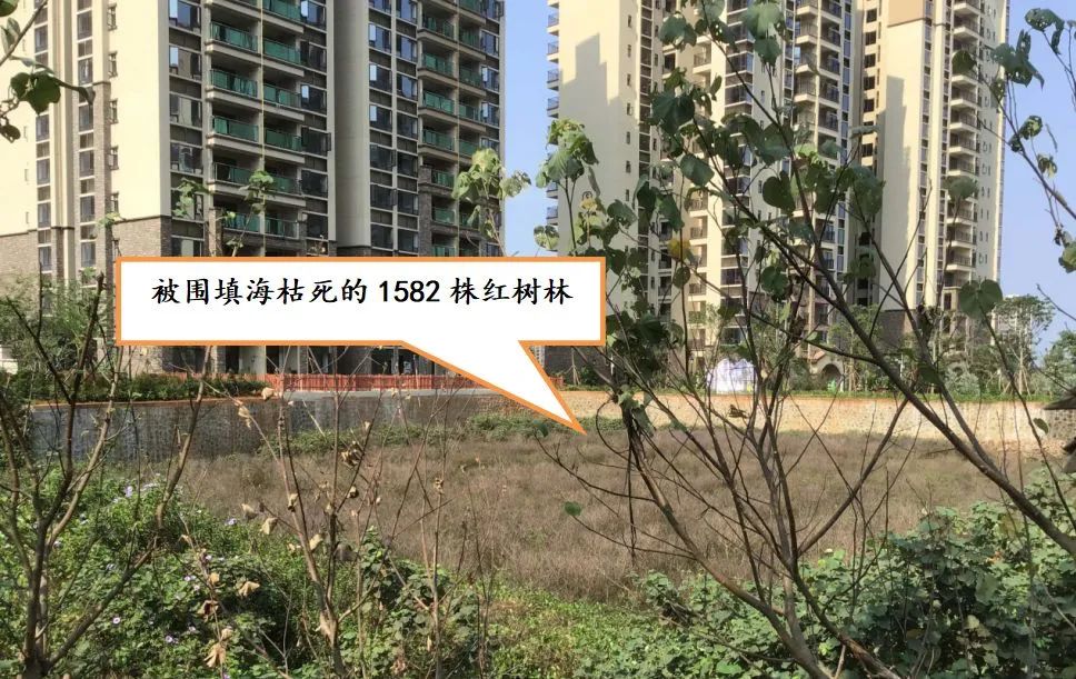 吉兆民被查(图2) 39.jpg