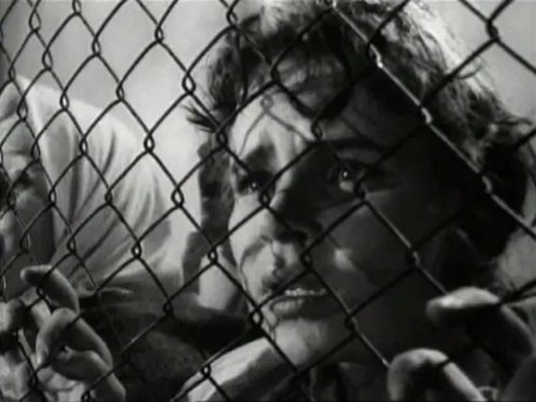 把东西方妓女放在一起,哪个更惨?(图14) 14.png