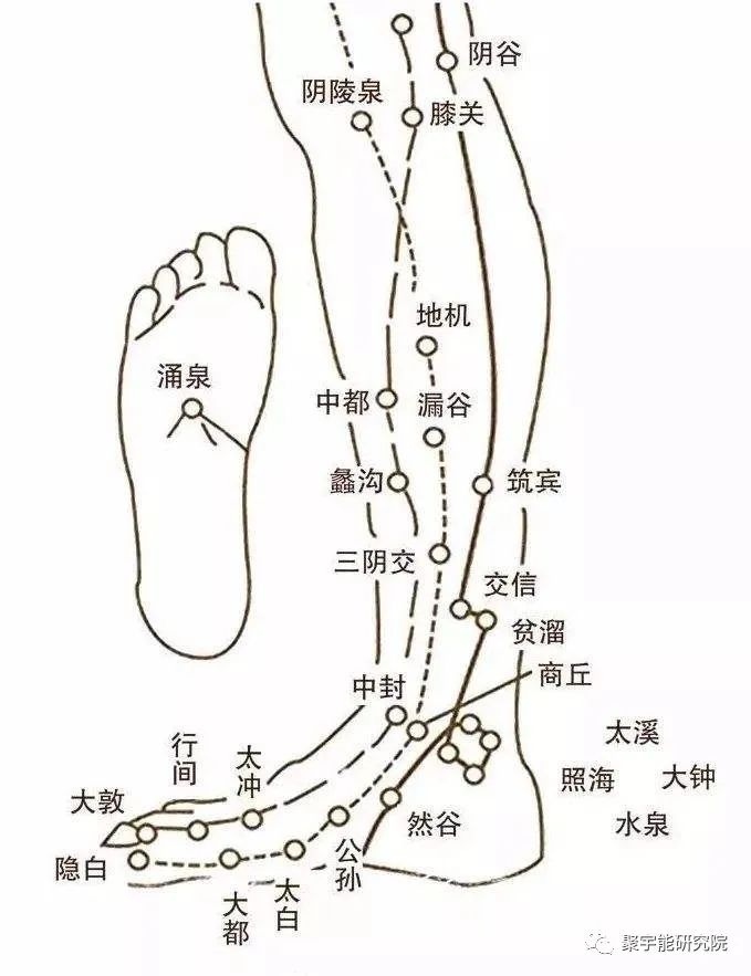 金日光教授:<第四统计力学>的基本概念之四(五腧穴自主电位和K,r1,r2之间的关系)(图5) 34.jpg