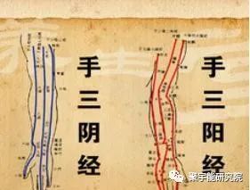 金日光教授:<第四统计力学>的基本概念之六(三阴经三阳经为何有严格的顺序?)(图4) 31.jpg