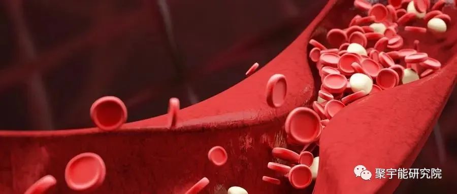 金日光教授:<第四统计力学>的基本概念之八(三阳经三阴经中谁的<血>多?<气>多?)(图2) 21.jpg