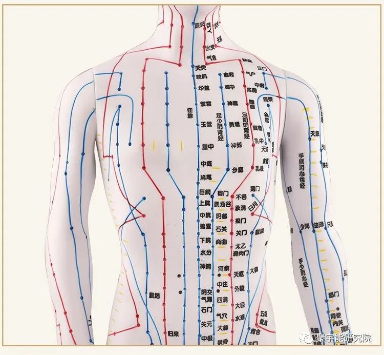金日光教授:<第四统计力学>的基本概念之十(为何腑/脏经络穴位数(△)比值可达~2~3?)(图1) 25.jpg