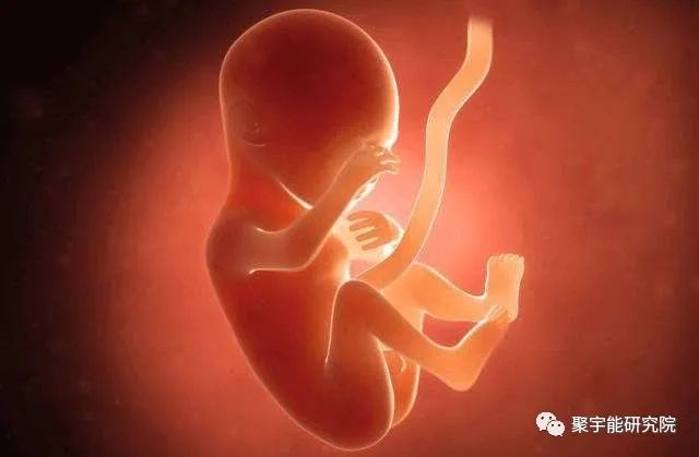 金日光教授:<第四统计力学>的基本概念之十(为何腑/脏经络穴位数(△)比值可达~2~3?)(图2) 26.jpg