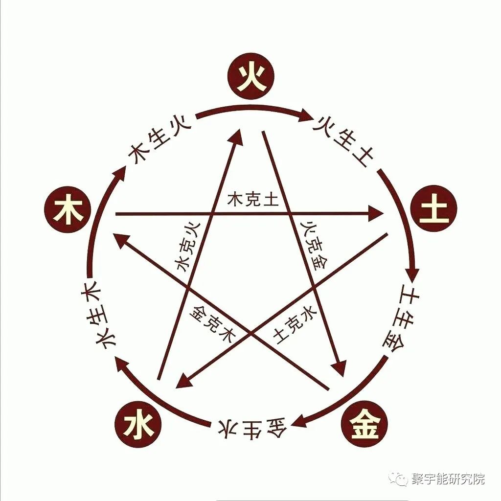 金日光教授:当代胚胎发生学的基本概念之二(腑器有什么资格当<表>?又能<生里>?)(图1) 30.jpg