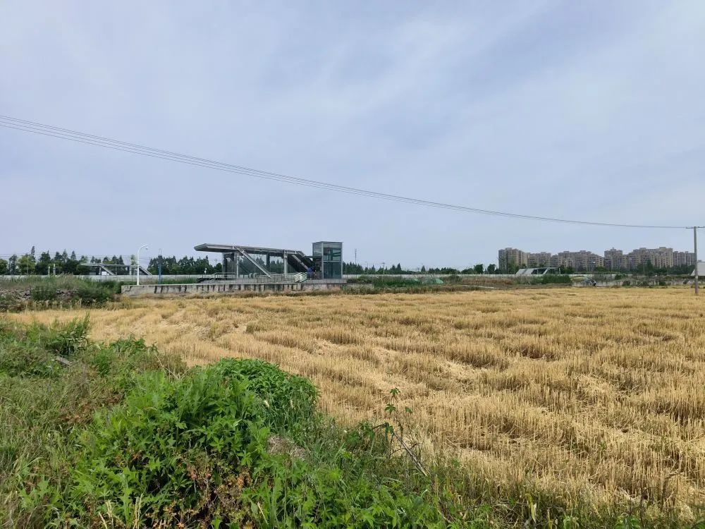 投资2亿的地铁站,建在了农田里…附近居民:想坐车要绕行3公里,还不如坐公交(图1) 1.jpg