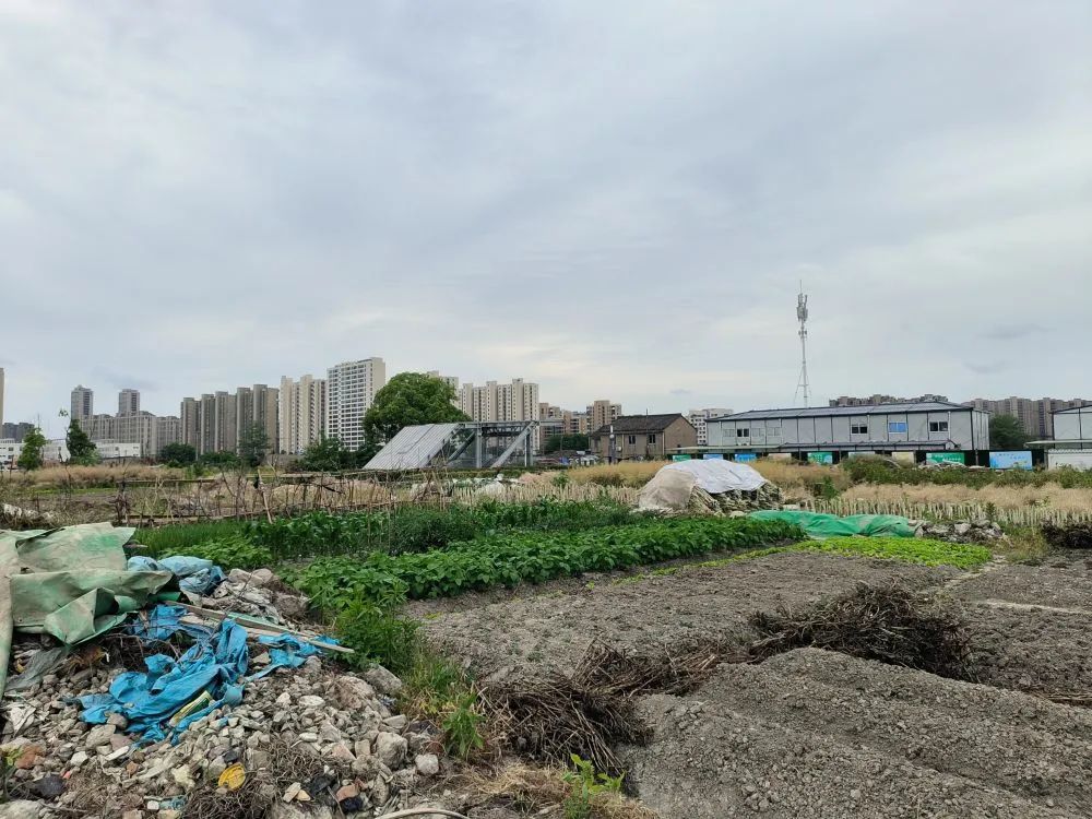 投资2亿的地铁站,建在了农田里…附近居民:想坐车要绕行3公里,还不如坐公交(图2) 2.jpg