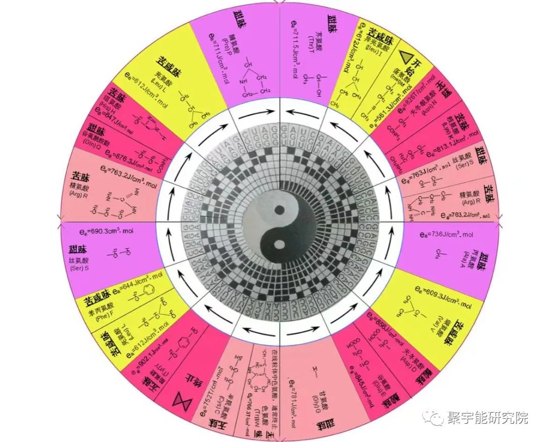 金日光教授:人类基因组学基本概念之四(太极64卦与tRNA/氨基酸周期循环图)(图2) 44.jpg
