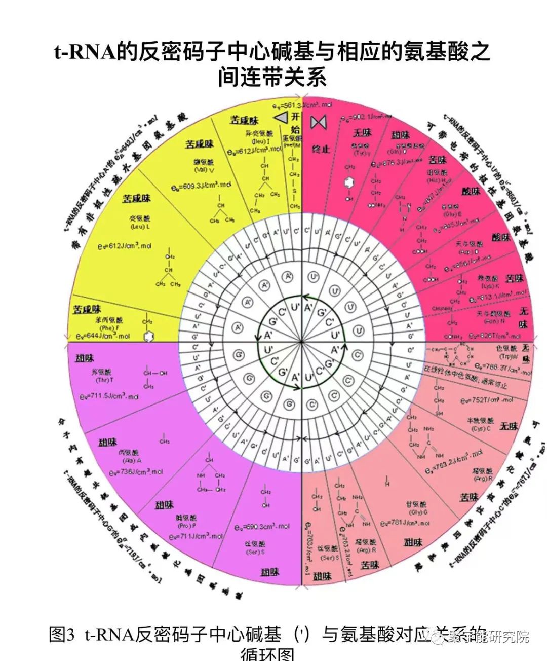 金日光教授:人类基因组学基本概念之四(太极64卦与tRNA/氨基酸周期循环图)(图3) 45.jpg