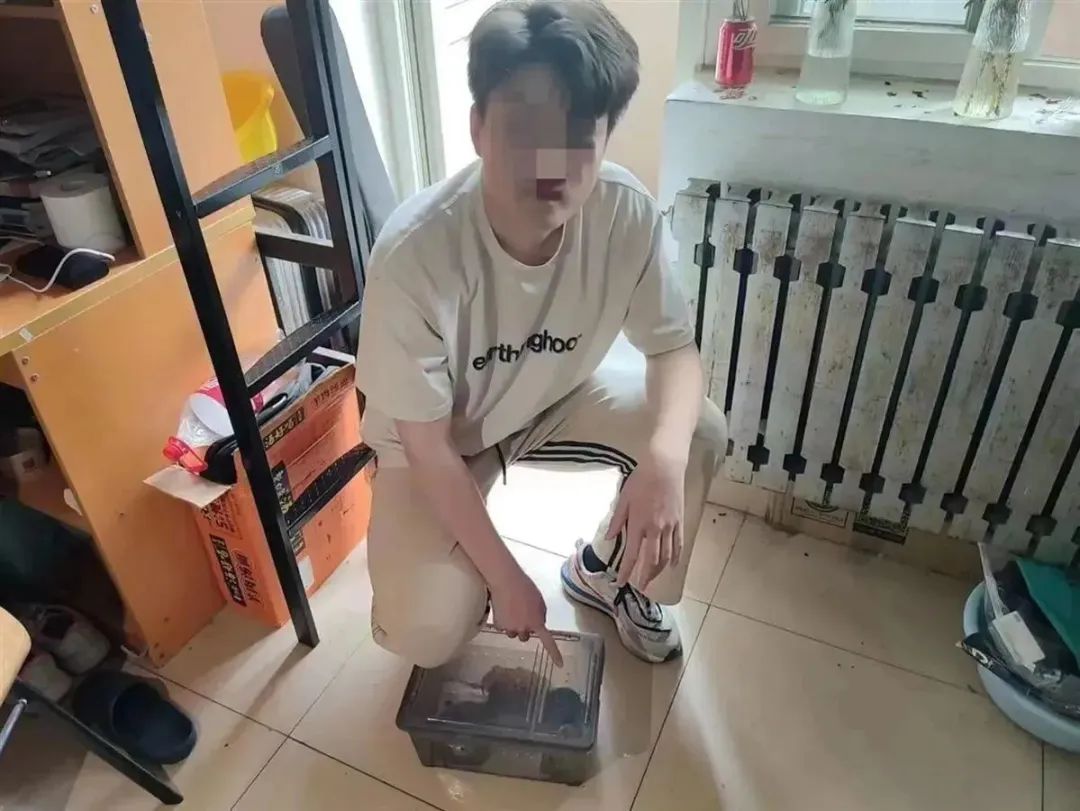 43次!在校大学生网购虫子,竟干出这种事,刑拘!(图3) 3.jpg