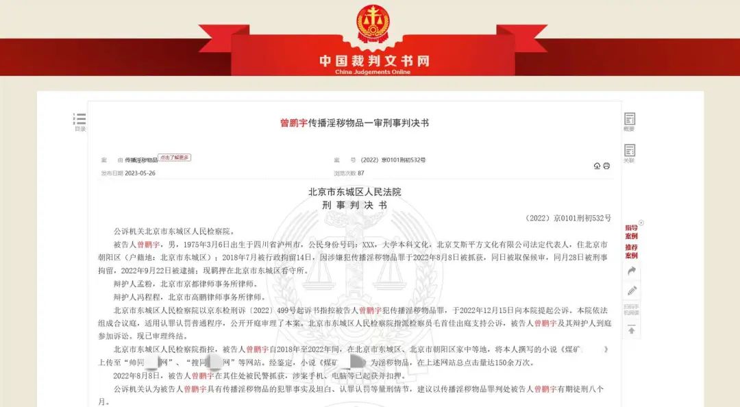 网络大V写色情小说获刑!家长发现小学生付费阅读后报警(图2) 2.jpg