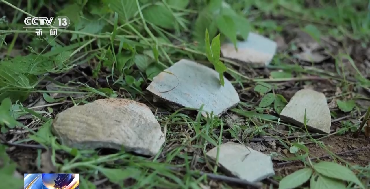 公安部督办文物大案:1300多件文物,时间跨度超2000年(图26) g26.png