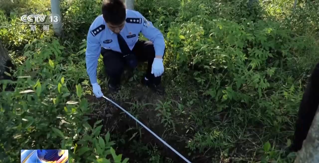 公安部督办文物大案:1300多件文物,时间跨度超2000年(图28) g28.png