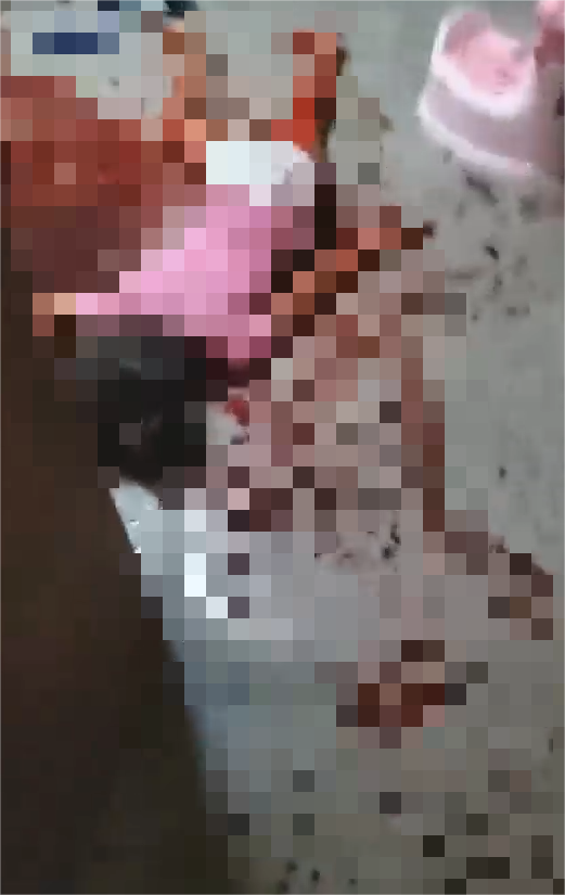 辽宁“6死灭门案”因何发生?当地政府回应(图2) 2.png