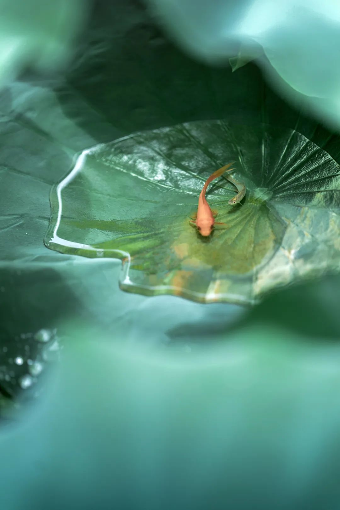 不提“热”字,怎么形容天很热?(图10) 5.jpg