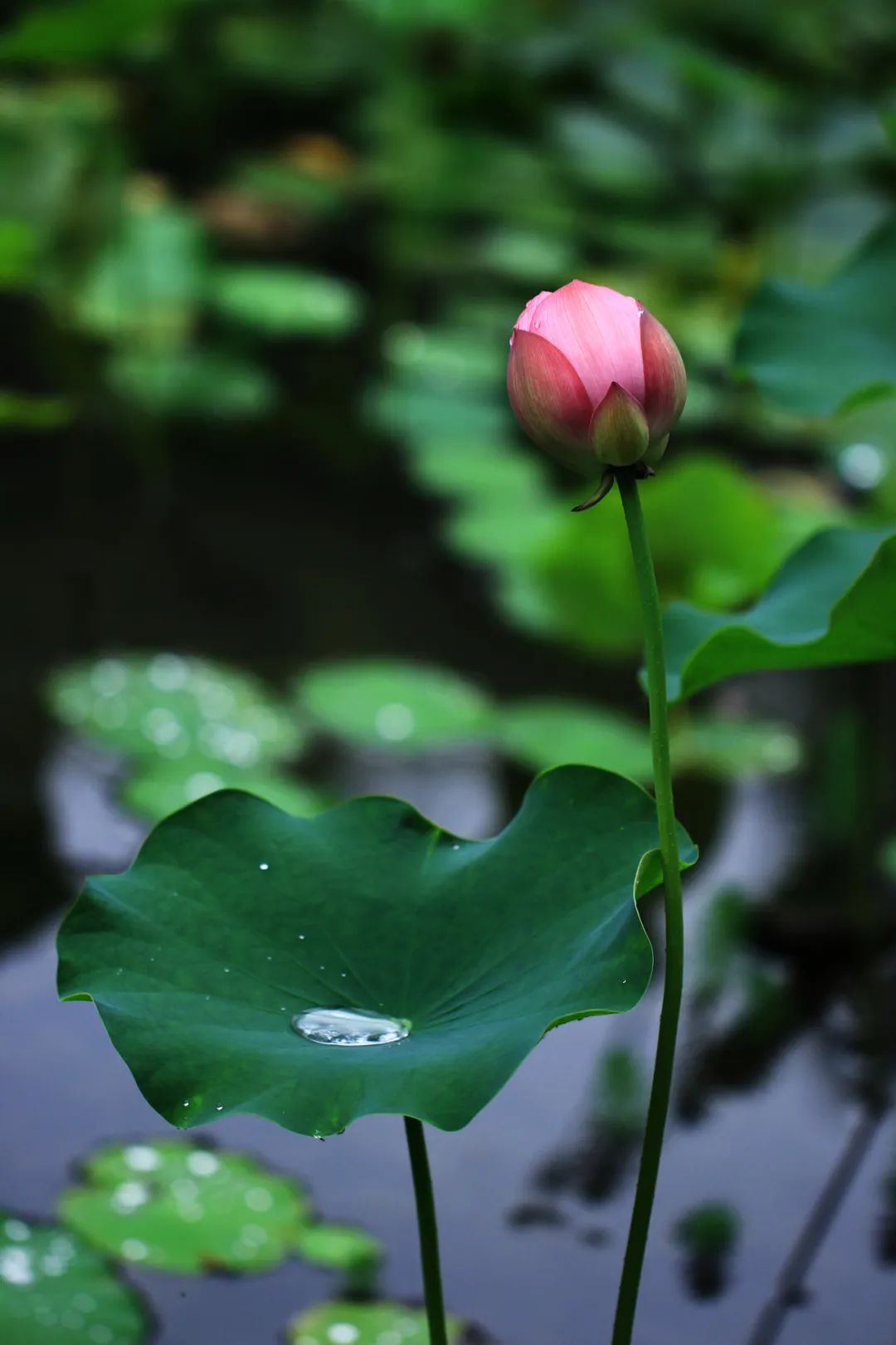 不提“热”字,怎么形容天很热?(图14) 10.jpg