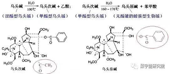 金日光教授:四逆汤有<起死回生>之力?【定量解读《黄帝内经》之感悟•之十三】(图3) 3.jpg