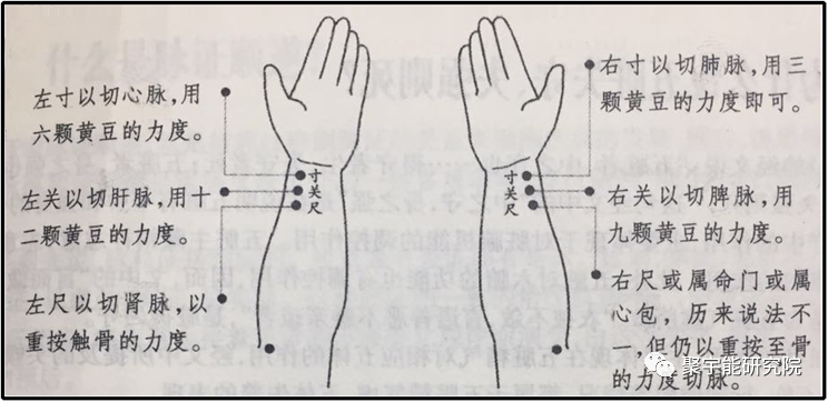 金日光教授:《黄帝内经》里寸关尺的内秘【定量解读《黄帝内经》之感悟•之十五】(图1) 1.png
