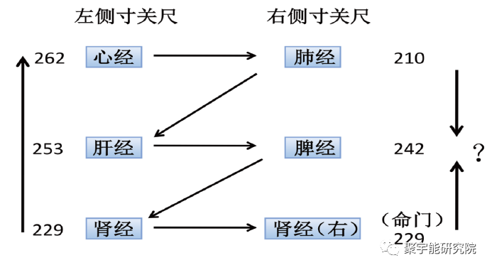 金日光教授:《黄帝内经》里寸关尺的内秘【定量解读《黄帝内经》之感悟•之十五】(图3) 3.png