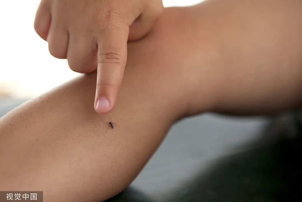 遇到这几种虫子,千万别拍死!否则后果可能会很严重……(图2) 69.jpg