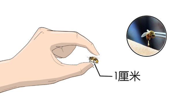 遇到这几种虫子,千万别拍死!否则后果可能会很严重……(图8) 75.png