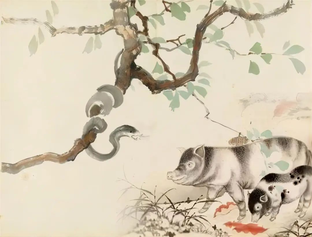 再毒的毒蛇都毒不死一头猪?猪是毒蛇的天敌,有什么科学依据吗?(图5) 13.jpg