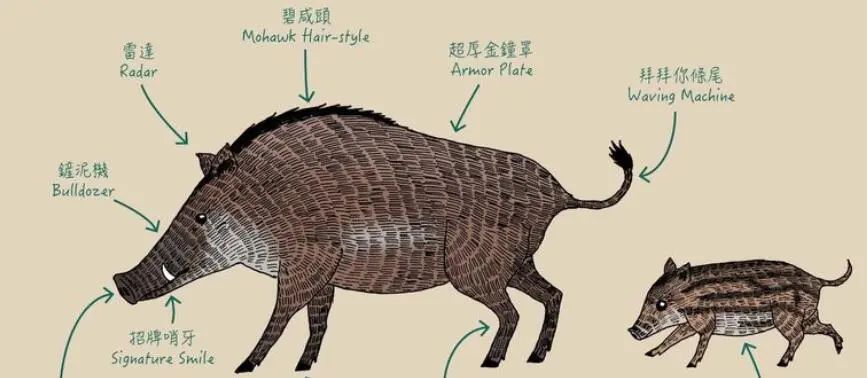 再毒的毒蛇都毒不死一头猪?猪是毒蛇的天敌,有什么科学依据吗?(图6) 14.jpg