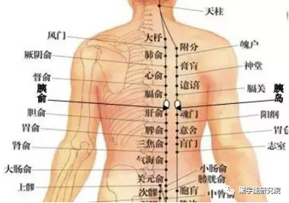 金日光教授:我国一亿多糖尿病人怎么办?【定量解读《黄帝内经》之感悟•之二十六】(图6) 7.png