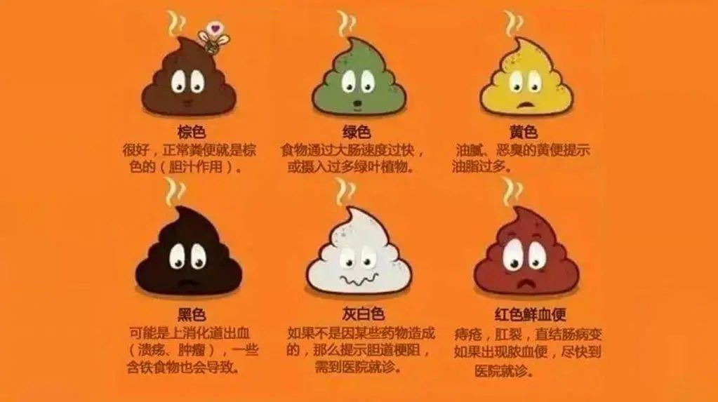 口服粪便胶囊:一种新的辅助抗癌方法(图5) 14.jpg