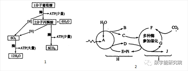 金日光教授:经络相关实测数据的整理【定量解读《黄帝内经》之感悟•之三十】(图3) 3.png