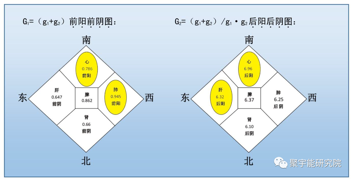 金日光教授:五脏怎么能还有情绪?【人类器官组织的阴阳精及精气分布之内秘•四】(图7) 6.png